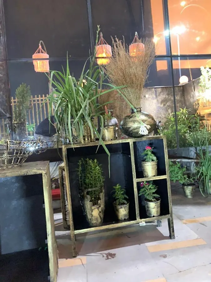 Zenith Hotel - Delhi Airport New Delhi